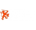  Nederlands Elftal tattoo voorbeeld Holland leeuw links